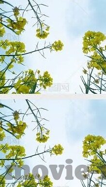 日韩欧美一区av-日韩欧美一区AV，文化、艺术与个人选择的多样性